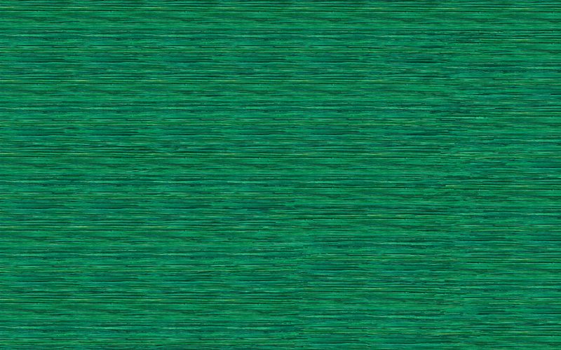 Papier peint intissé TAWANA coloris vert émeraude - 4MURS