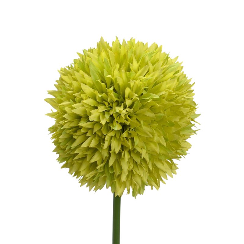 Fleur artificielle ALIUM BOULE coloris vert Divers 4MURS
